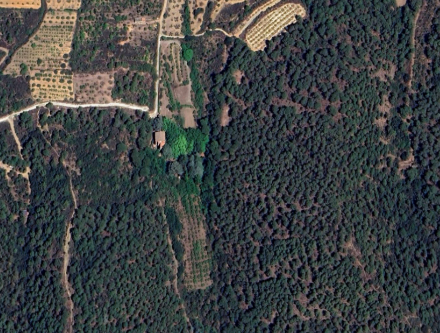 Font de l'Oca from the air — surrounded by forest within the Paratge Natural de Poblet