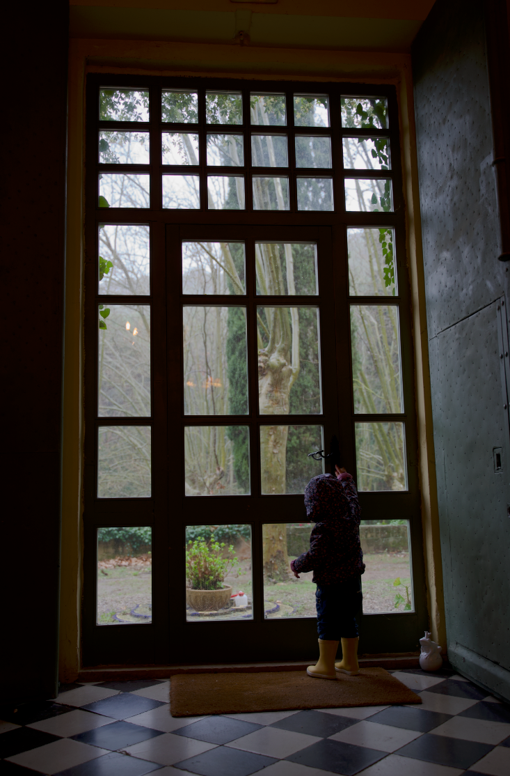 Looking out at the garden through the great hall window