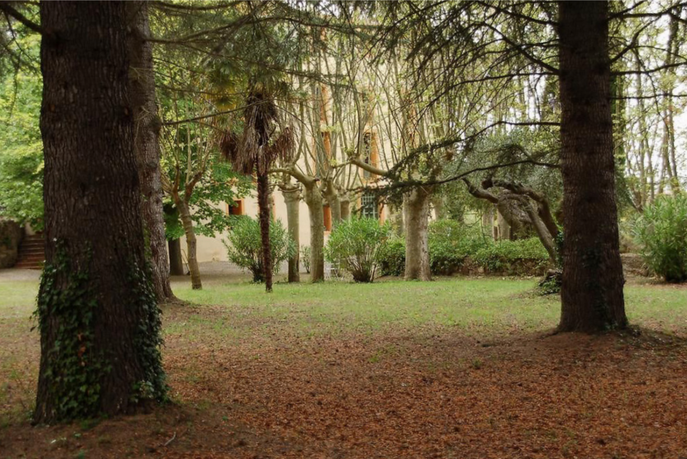 Garden through the pines